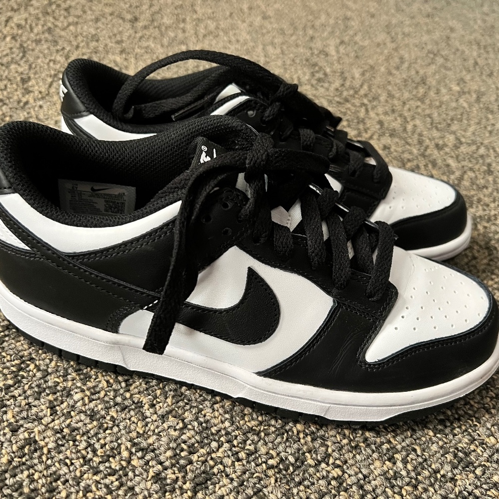 Nike dunk low retro